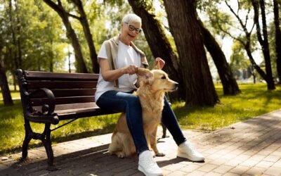 Can pets be cared for under a Will?